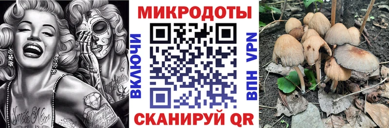 где можно купить   Кузнецк  Псилоцибиновые грибы Cubensis 